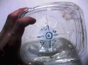 Cultivo emergido