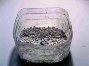 Cultivo emergido
