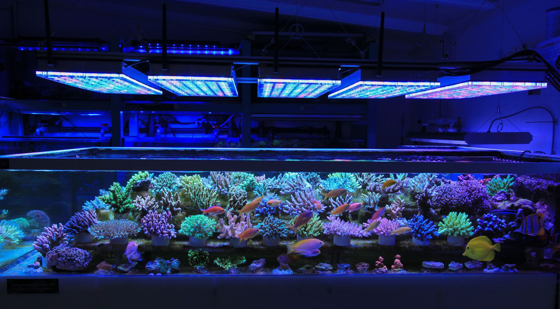 Iluminación por LED