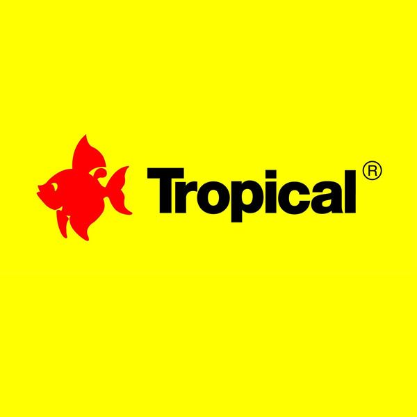 Tropical (Acuario de Lujo)