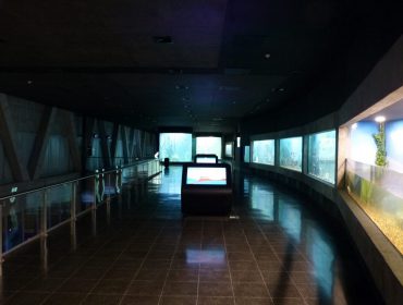 post-image