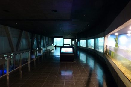 post-image