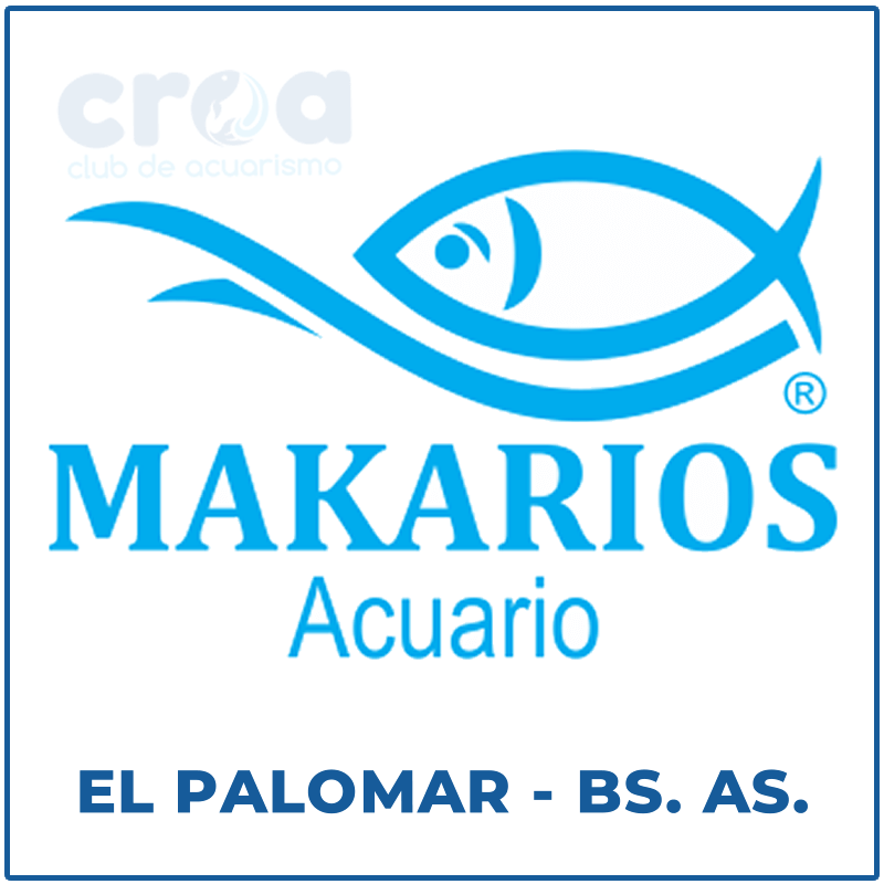 Acuario Makarios