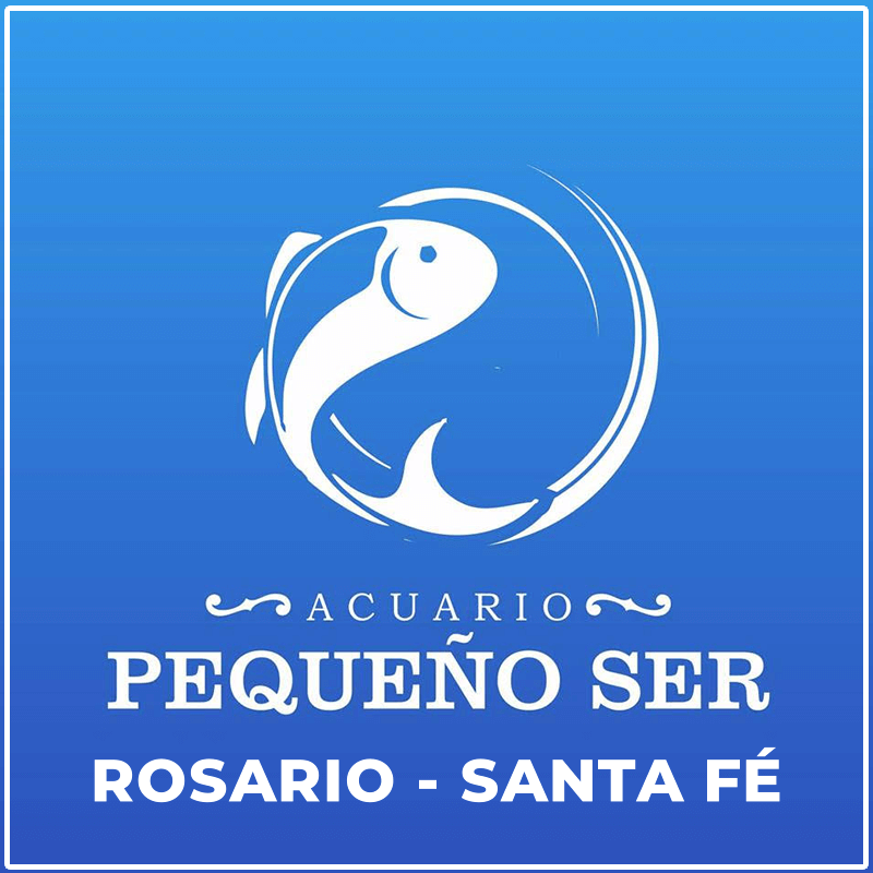 Acuario Pequeño Ser