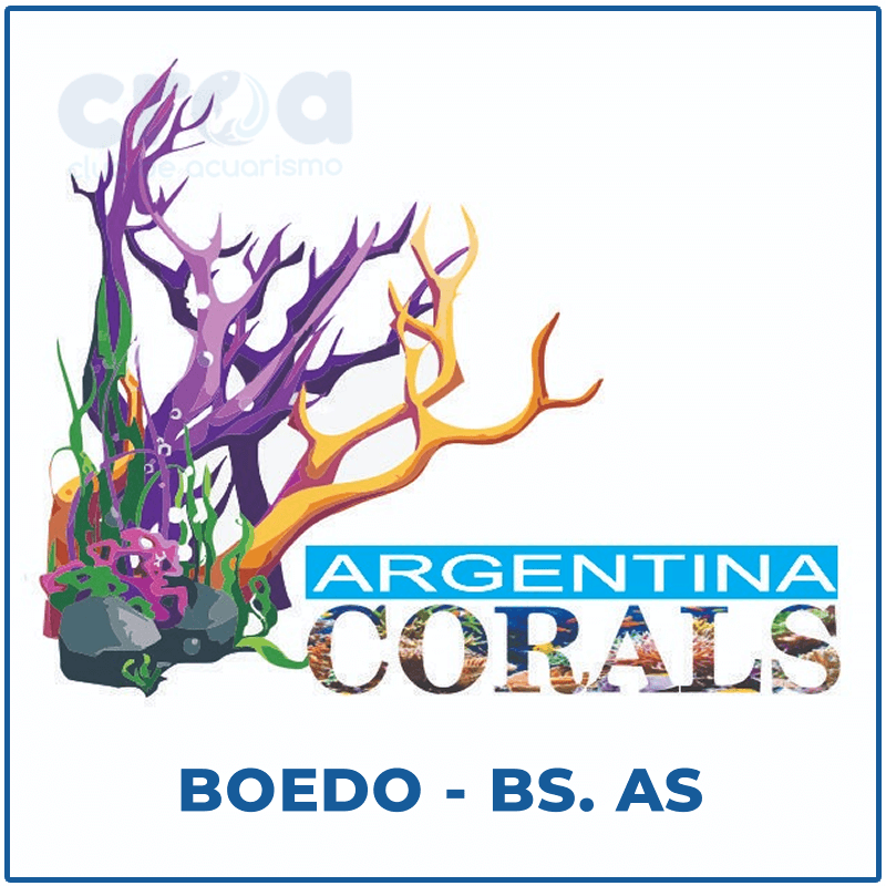ArgentinaCorals