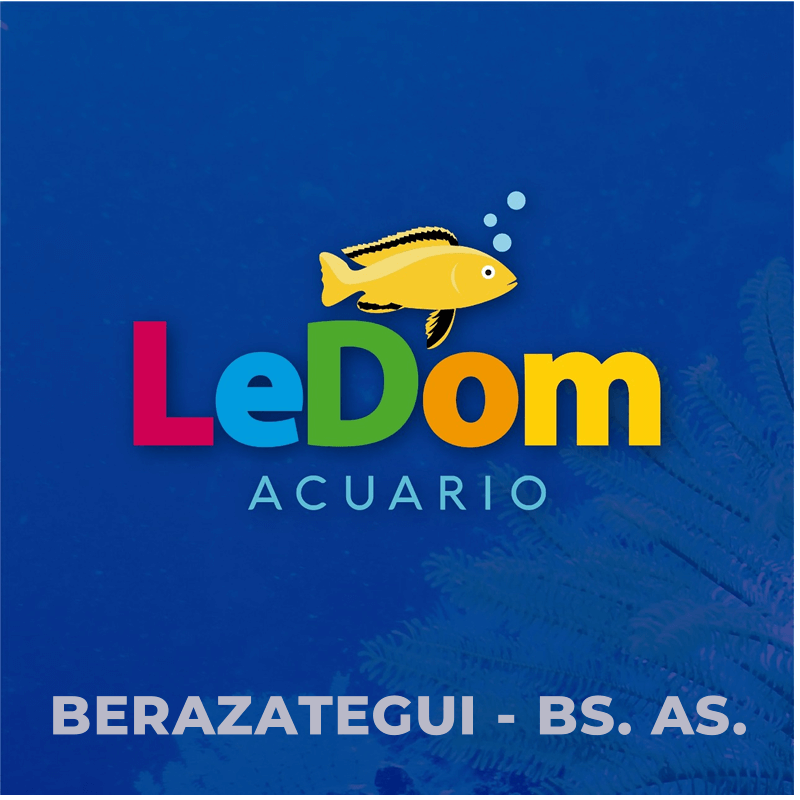 Acuario LeDom