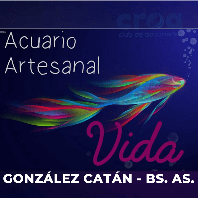 Acuario Artesanal Vida